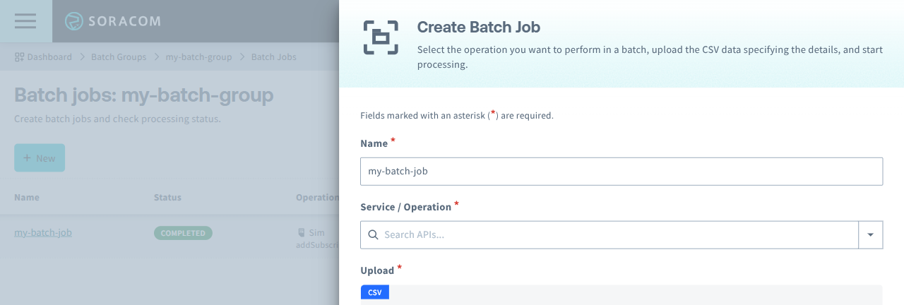 Enter batch job settings