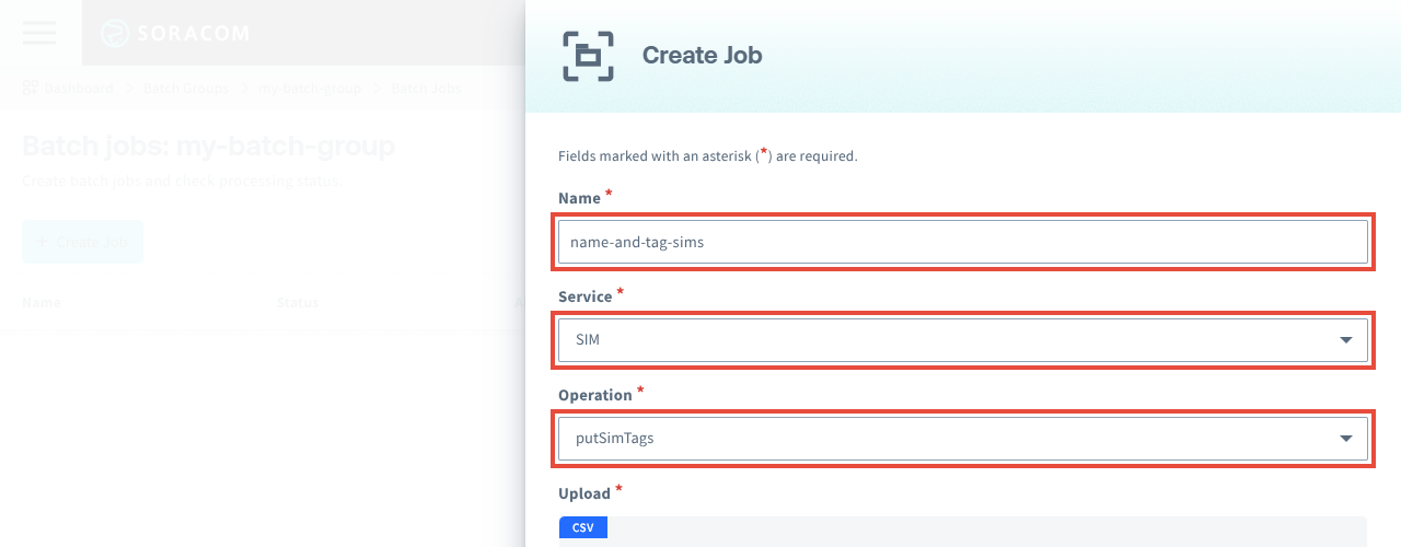 Enter batch job settings
