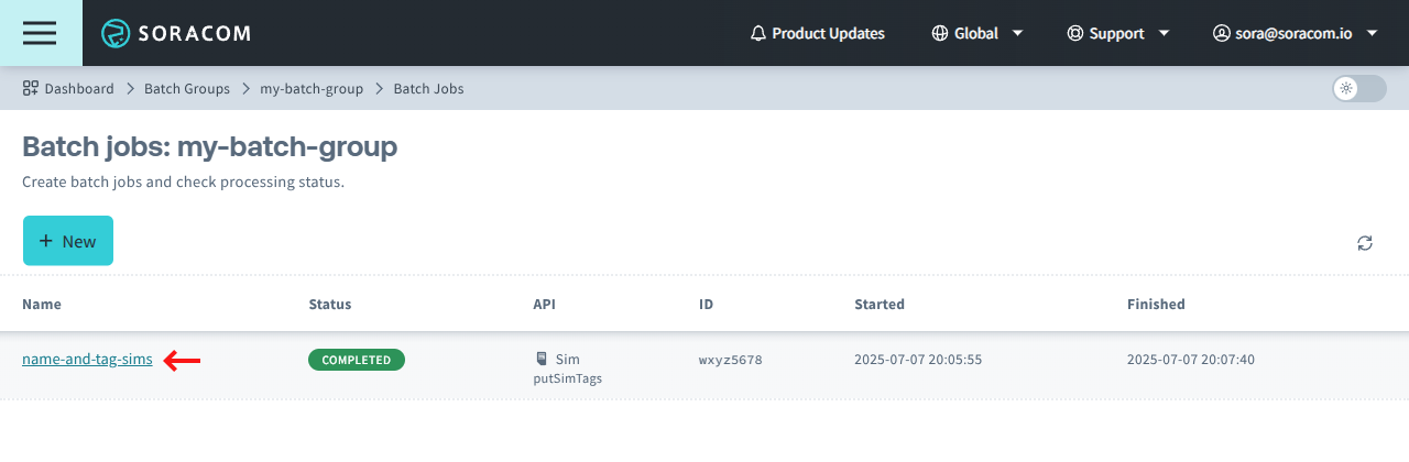 Select a batch job to view more details