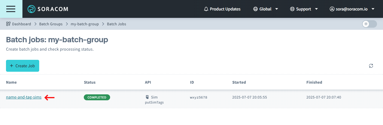 Select a batch job to view more details