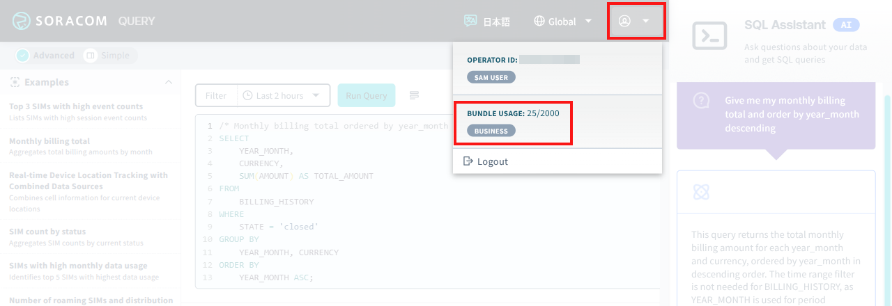 Screenshot of the usage data accessed via the account menu