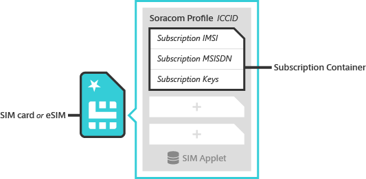 Diagram of relationship between SIM, profiles, and subscriptions