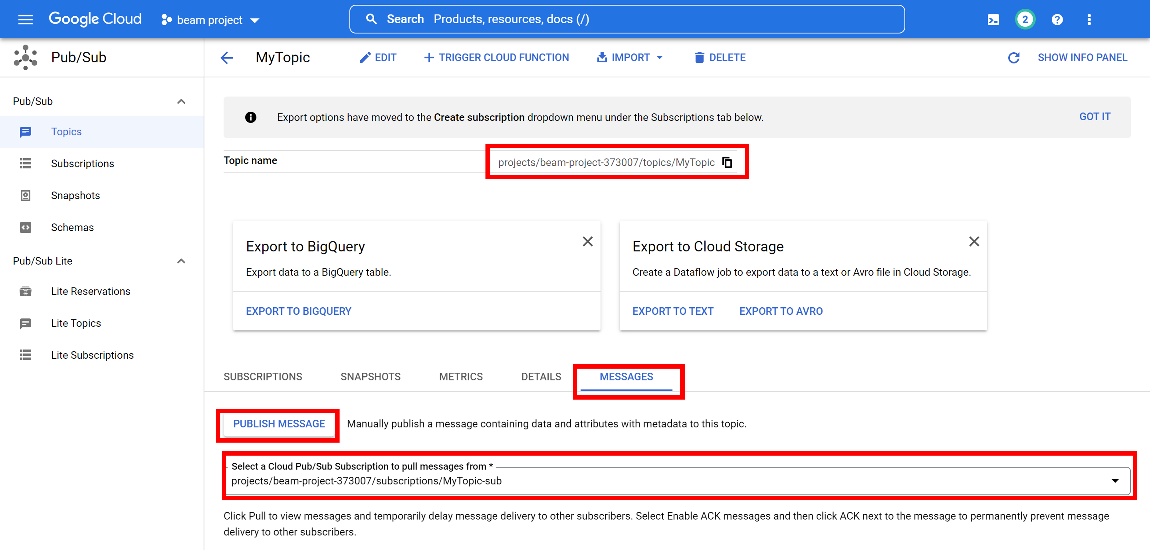 Topic Details and Publish Message